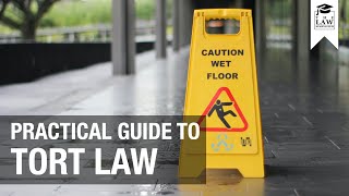 Tort Law  A Practical Guide [upl. by Feldt]