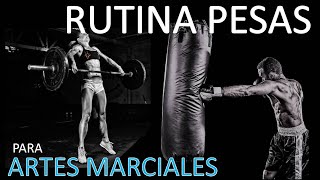 RUTINA PESAS INICIACIÓN PLIOMÉTRIA E ISOMÉTRIA APLICADA A DEPORTES DE CONTACTO BOXEO ARTES MARCIALES [upl. by Nosmirc]