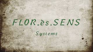 SOIL HEALTH  The relationship between soil microbiology plant succession and soil fertility [upl. by Semaj]