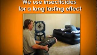 Get Rid of Bed Bugs Termites amp Rodents Now  Pest Control Baltimore [upl. by Grannia]