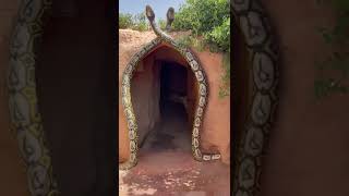 Snakes City 🐍 Gaint snakes alive 😳 🇲🇦 Mirajvlogs220 [upl. by Maiga]