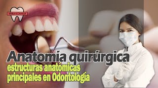 Anatomía básica para manejo de procedimientos de cirugía bucal [upl. by Chenee]