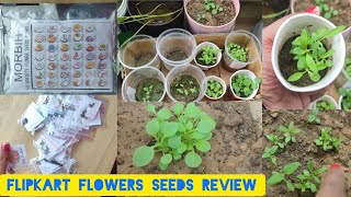 Flipkart flower seeds 30days reviewonline seeds review unboxing online 40varieties of flower seeds [upl. by Malissia]