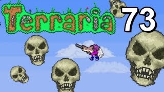 Terraria Ep73 Uccidere il Dungeon Guardian [upl. by Ahtnammas]