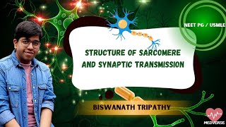 STRUCTURE OF SARCOMERE and SYNAPTIC TRANSMISSION  USMLENEETPG  NM Physiology  MEDVERSE [upl. by Arat275]