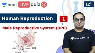 NEET Human Reproduction  Quiz 1  DPP  Class 12  Live Quiz 20  Unacademy NEET  Sachin Sir [upl. by Stelmach]