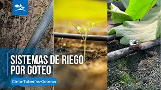 RIEGO POR GOTEO TIPOS CARACTERÍSTICAS Y VENTAJAS [upl. by Leur230]