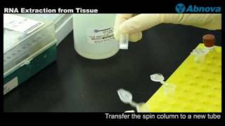 RNA Extraction from Tissue [upl. by Mou335]