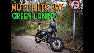 Taking the Mutt Hilts 250 off road muttmotorcycles Greenlaning offroad [upl. by Adianez]