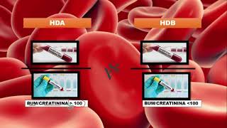 DIFERENCIAS ENTRE HEMORRAGIA DIGESTIVA ALTA Y HEMORRAGIA DIGESTIVA BAJA  HDA VS HDB [upl. by Airla]