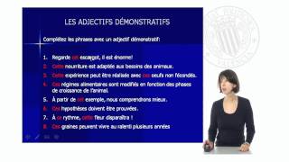 Les Adjectifs Démonstratifs   UPV [upl. by Meyer]