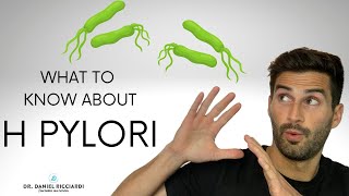 What is H pylori helicobacter pylori [upl. by Ennovahs649]