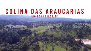 Colina das Araucarias [upl. by Lindell]