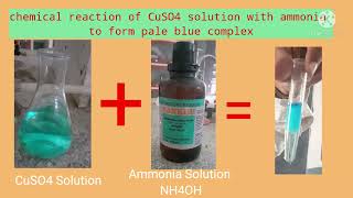 Chemical reaction of CuSO4 sol with Ammonia NH4OH Sol [upl. by Asilram]