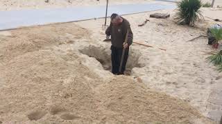 CONSIGNES  Plantation dans le sable sur la dune face à l’Ocean de Cordyline Australis  PART 1 [upl. by Infield]