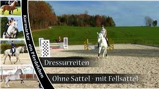 Dressur ohne Sattel  mit Fellsattel  November 2015 [upl. by Danella314]