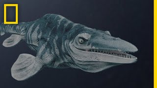 Mosasaurs 101  National Geographic [upl. by Papp556]