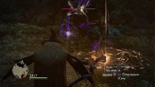 Dragons Dogma Dark Arisen  Solo Sorc vs Golem [upl. by Essa]