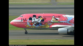 Painted airplane [upl. by Violeta740]