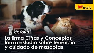 La firma Cifras y Conceptos lanza estudio sobre tenencia y cuidado de mascotas [upl. by Mindy]