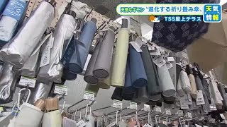 【風速15メートルに耐える進化系折り畳み傘】 人気は雨傘・日傘兼用タイプ…もはやメイン使いもアリなのか [upl. by Novart]