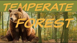 Explore the TEMPERATE FOREST Biome 🍁Nature Ecology amp Environment [upl. by Llennoc]