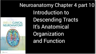 Neuronantomy Chapter 4introduction to Descending TractsAnatomical Organization and FunctionMbbs [upl. by Nyliram896]