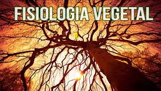 Fisiologia Vegetal [upl. by Enaillil]