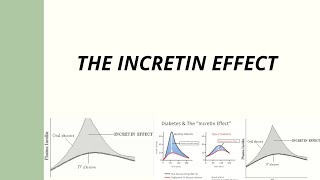 The incretin effect  Type 2 diabetes  DPP4 inhibitors  Endocrinology [upl. by Mcclenaghan688]