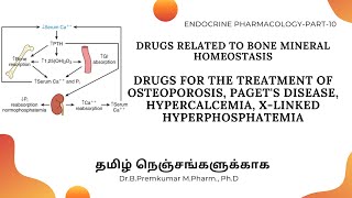 Drugs acting on Bone Mineral HomeostasisDrugs for OsteoporosisEndoPart10  Tamil [upl. by Georgina174]