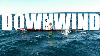 SURFSKI DOWNWIND WITH MY THINK SURFSKI [upl. by Tonya]