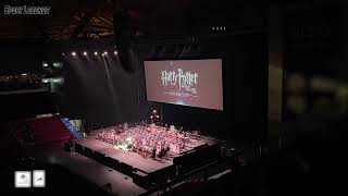 Harry Potter and the Deathly Hallows – Part 1 Concert Orchestra [upl. by Doane829]