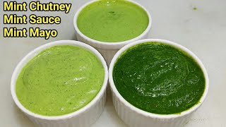 3 तरीके की हरी चटनी बनाने की विधि  Green Chutney Recipe  Mint Chutney  Mint Mayo  Chef Ashok [upl. by Krum611]