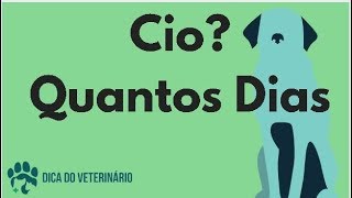 Qual Intervalo entre o Cio da Cadela A Cada Quanto Tempo Entra em Cio ou se Repete [upl. by Atilal]