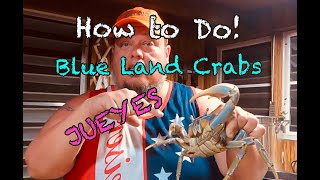 How to Cook Jueyes or Land Crabs [upl. by Solegnave]