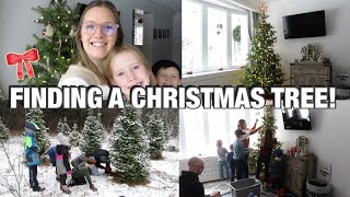 DAY IN THE LIFE  CUTTING DOWN OUR CHRISTMAS TREE [upl. by Bolen436]