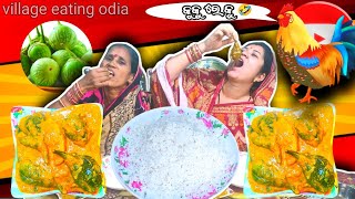 ଆଜି ଘରେ ବନେଇଲୁ ବାଇଗଣ କୁର୍ମା  Brinjal Kurma Cooking And Eating Challenge Villageeatingodia [upl. by Acsisnarf]