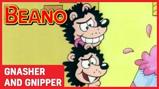 Gnasher and Gnipper  Best Bits  Beano All Stars [upl. by Roddie]