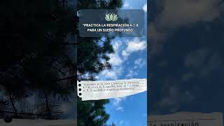 PRACTICA la RESPIRACION 478 para un sueño PROFUNDO Respiración478 MindfulnessParaDormir [upl. by Tiersten]