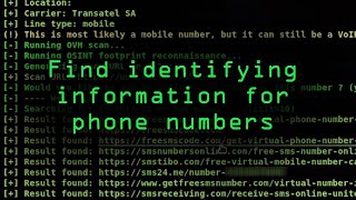 Find Information from a Phone Number Using OSINT Tools Tutorial [upl. by Aterg238]