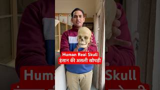 Human Real Skull  इंसान की असली खोपड़ी कैसी होती है viral trending shorts youtubeshorts shots [upl. by Anaylil37]