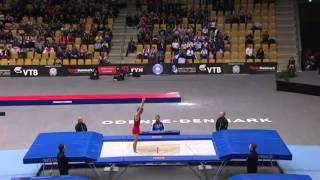 2015 Trampoline World Championships Male [upl. by Lamson]