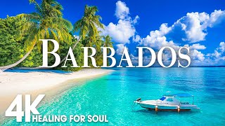 BARBADOS NATURE in 4K UHD Drone Film  Relaxing Piano Music for Stress Relief Sleep Spa YogaCafe [upl. by Lucrece]