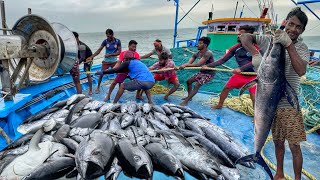 Amazing The first day we stayed in the deep sea and caught a lot of Tuna Fish  Day01  S05EP02 [upl. by Hurff]