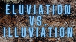 Eluviation vs Illuviation amp the E Horizon [upl. by Nomyaw]