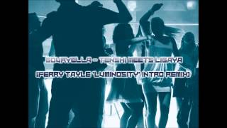 Gouryella  Tenshi meets Ligaya Ferry Tayle Luminosity Intro ReMix [upl. by Yltsew76]