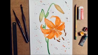 Tiger Lily Watercolour Tutorial Step by Step Botanical Painting [upl. by Gaven]