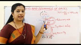 NEET Breathing And Exchange of Gases Part3 Malayalam Exchange of gases [upl. by Swanhilda]