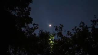 AVVISTAMENTO UFO  UFO SIGHTING  AIR FORCE BASE  Aviano PN Italy [upl. by Ydrah]