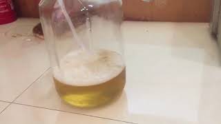 Make ozonated olive oil with high concentration ozone generator [upl. by Bilicki970]